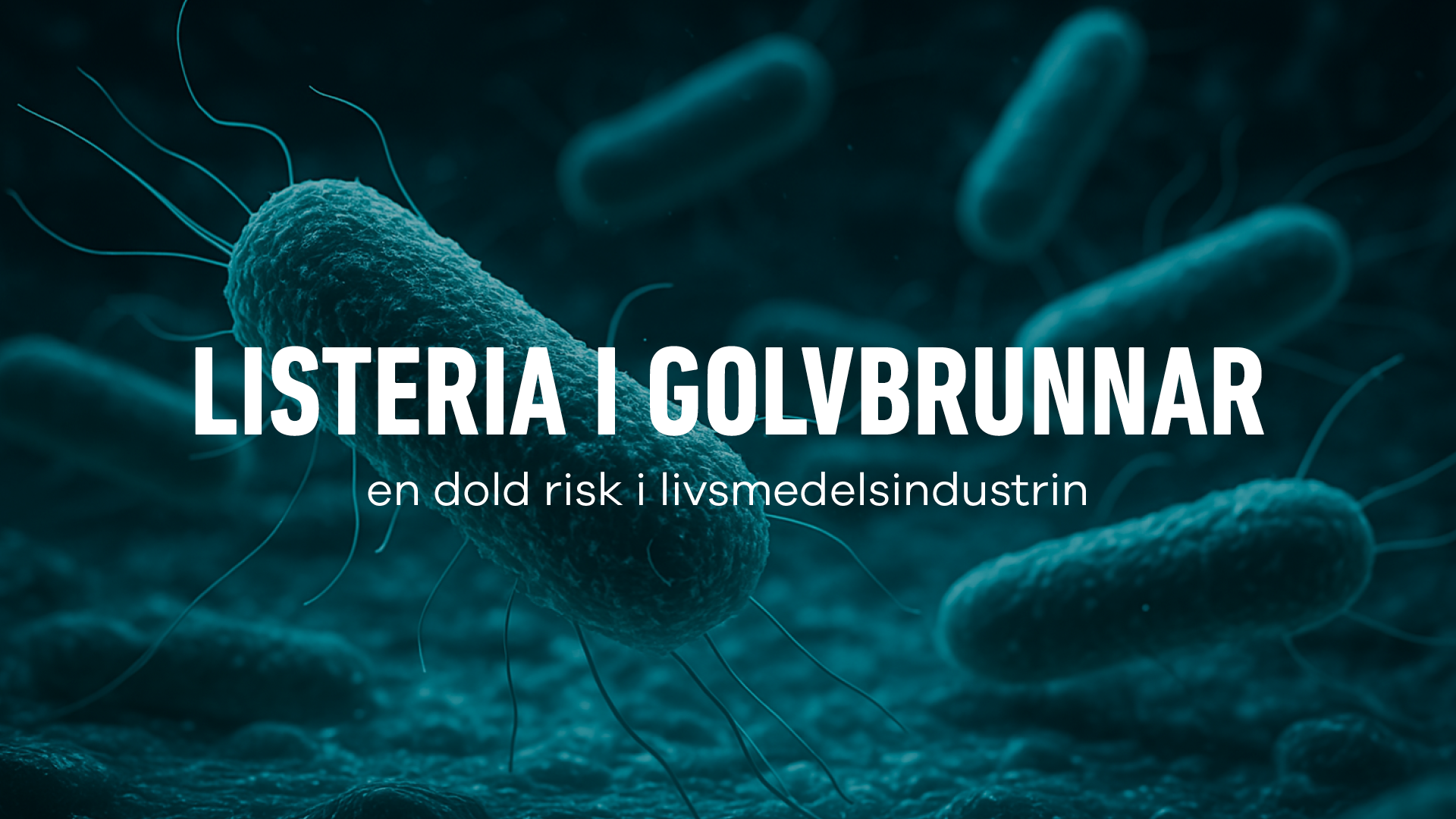 Listeria golvbrunn